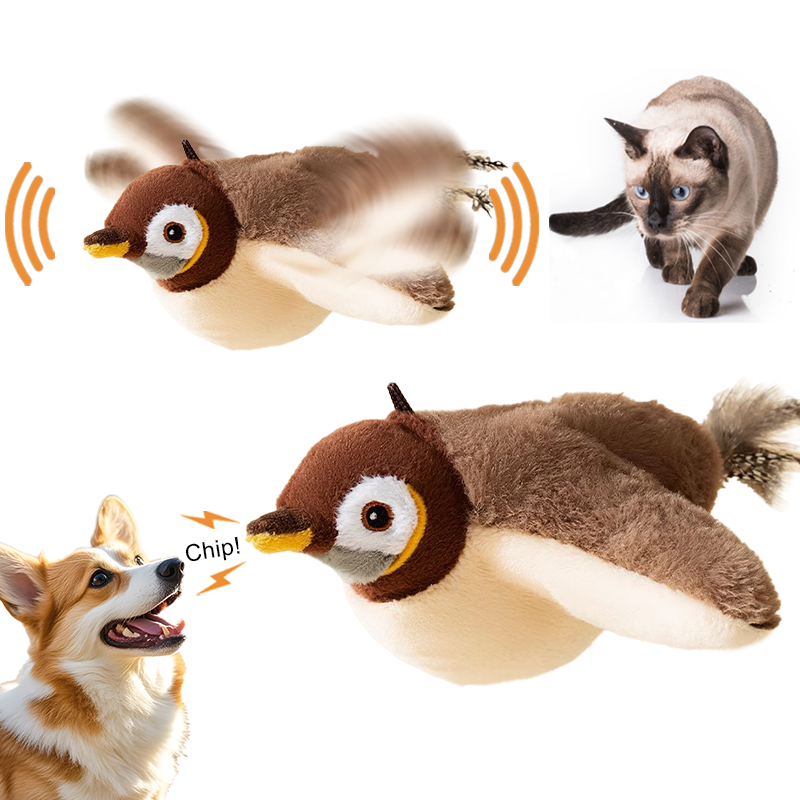Interactive Bird