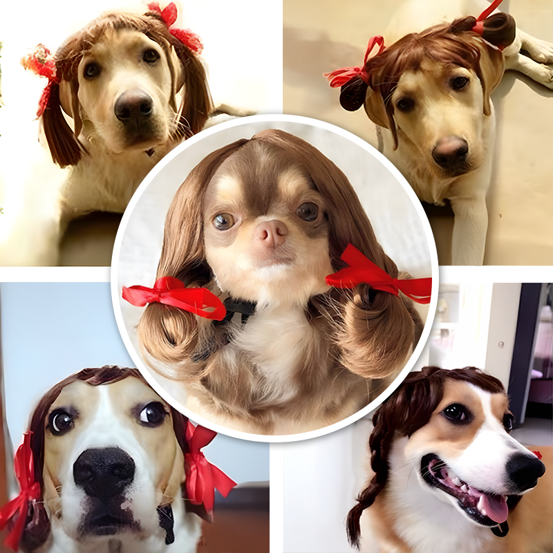 Pet Wig