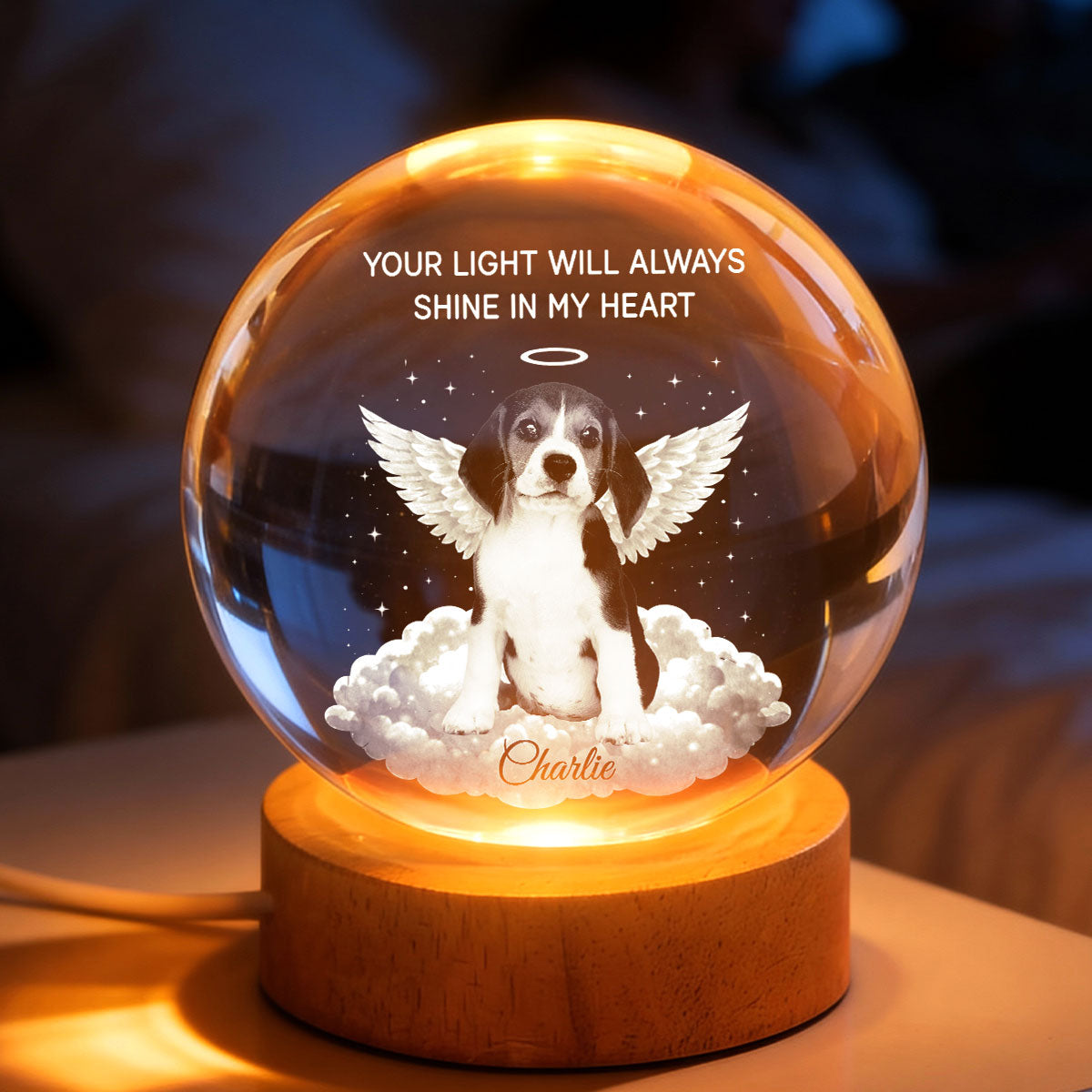 Your Light Will Always Shine in My Heart Pet Memorial - Personalized Crystal Ball LED Night Light - Heartfelt Remembrance Keepsake