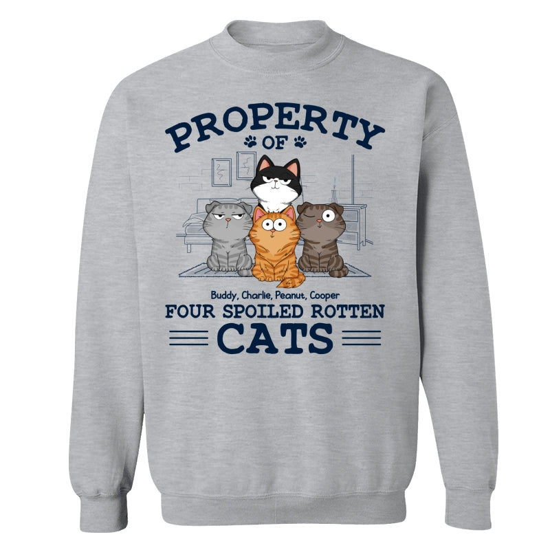 Property Of Spoiled Rotten Cats Funny Cats Expressions Personalized Shirt