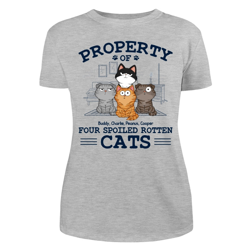 Property Of Spoiled Rotten Cats Funny Cats Expressions Personalized Shirt