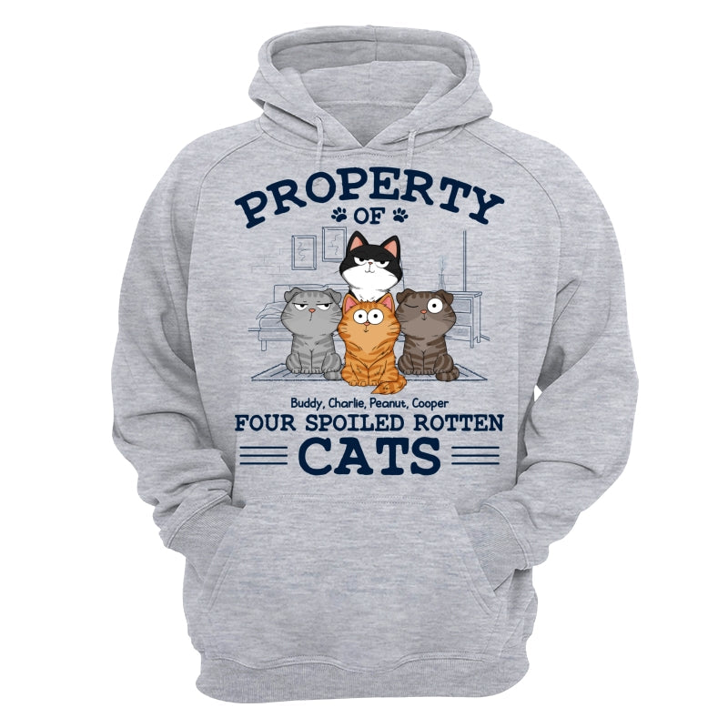 Property Of Spoiled Rotten Cats Funny Cats Expressions Personalized Shirt