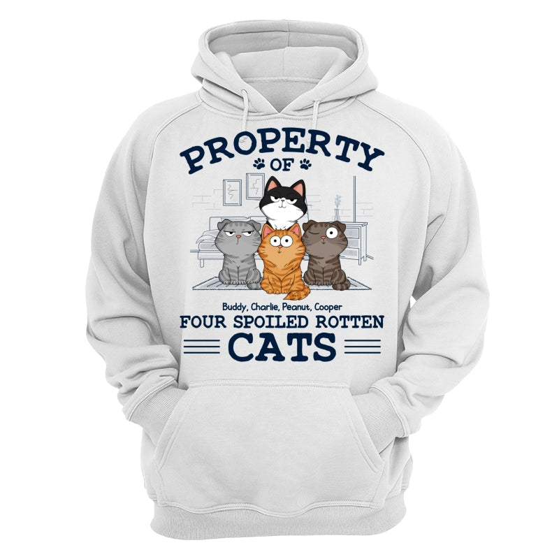 Property Of Spoiled Rotten Cats Funny Cats Expressions Personalized Shirt
