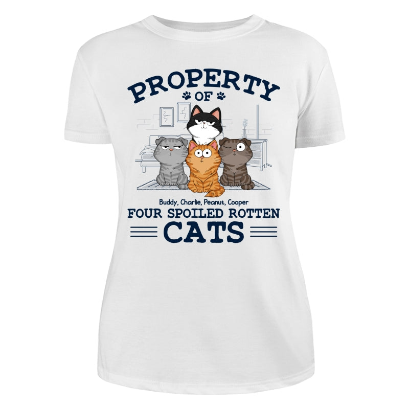 Property Of Spoiled Rotten Cats Funny Cats Expressions Personalized Shirt