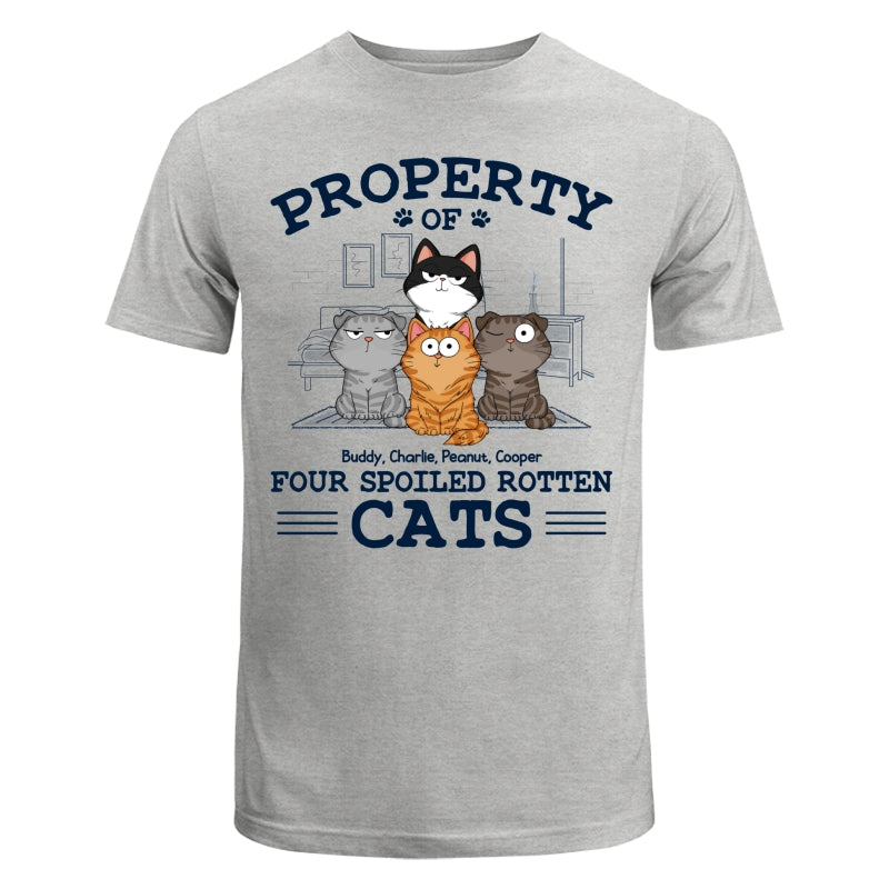 Property Of Spoiled Rotten Cats Funny Cats Expressions Personalized Shirt