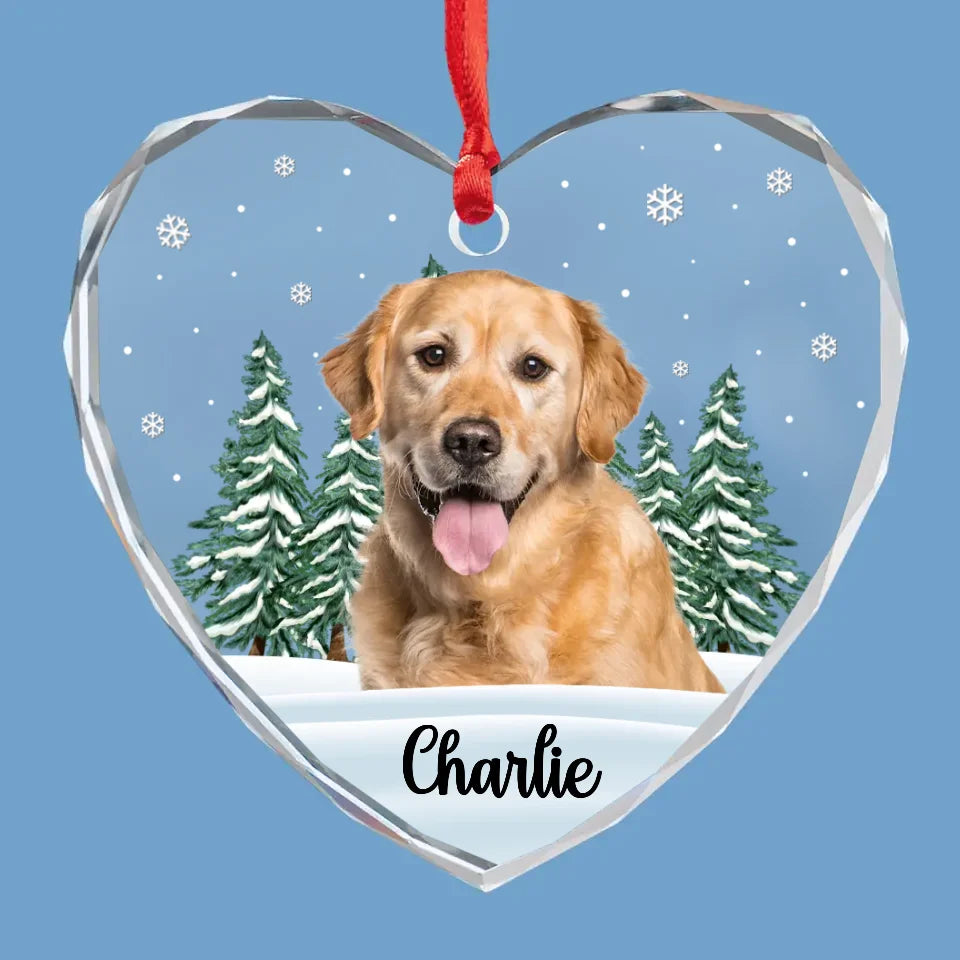 Custom Photo 'Til We Meet Again, My Friend - Memorial Personalized Custom Circle Glass Ornament - Christmas Gift, Sympathy Gift For Pet Owners, Pet Lovers
