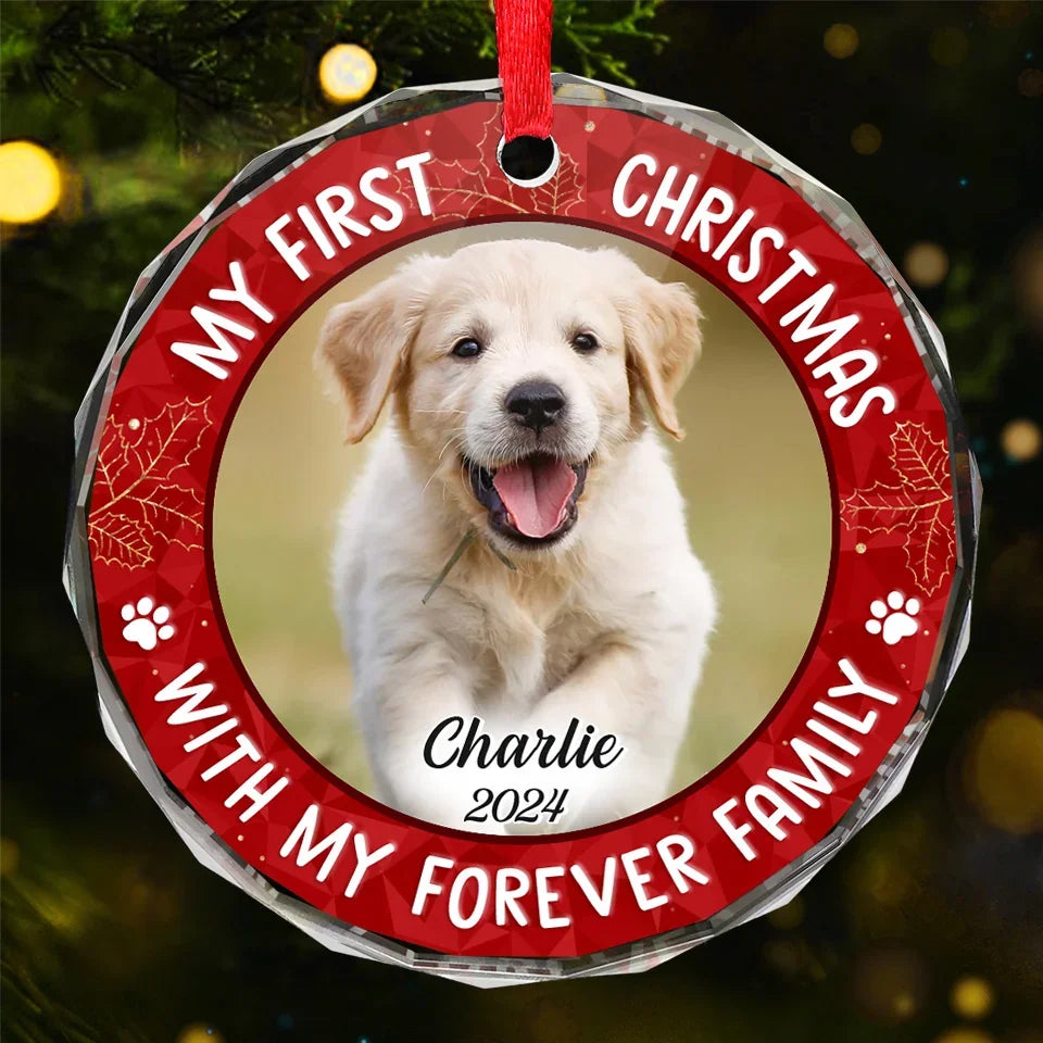 Custom Photo Joy To The World, My Pet Has Come - Dog & Cat Personalized Custom Circle Glass Ornament - Christmas Gift For Pet Owners, Pet Lovers, First Christmas