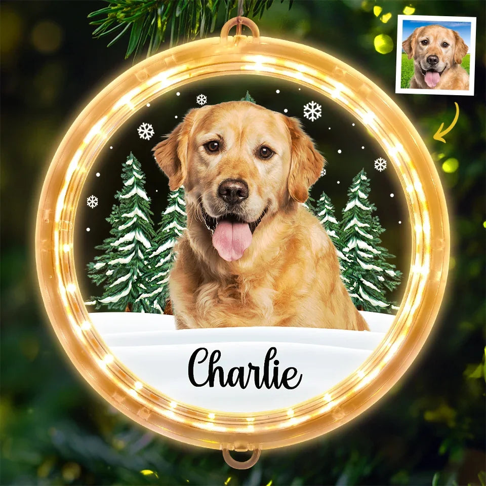 Custom Photo Every Day Is A Holiday With You By My Side - Dog & Cat Personalized Custom LED Pendant Light Ornament - Christmas Gift For Pet Owners, Pet Lovers