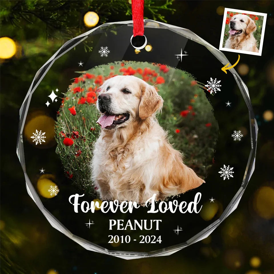 Custom Photo Forever Loved You, Always In My Heart - Memorial Personalized Custom Circle Glass Ornament - Sympathy Gift, Christmas Gift For Pet Owners, Pet Lovers