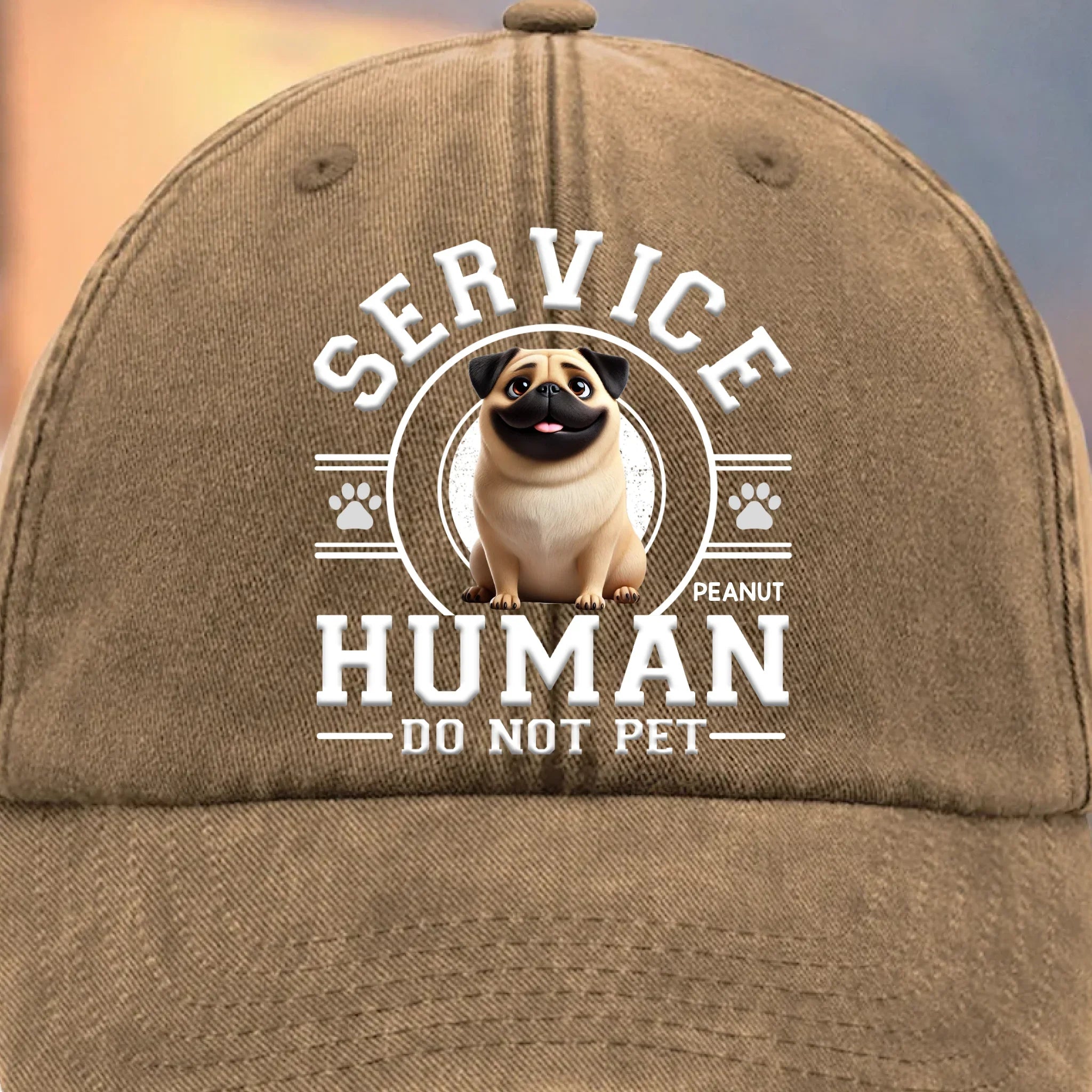 Custom Vintage Washed Denim Baseball Cap - Personalized Birthday Gifts For Dog Cat Lovers, Dog Dad And Mom, Cat Owners - Service Human, Do Not Pet