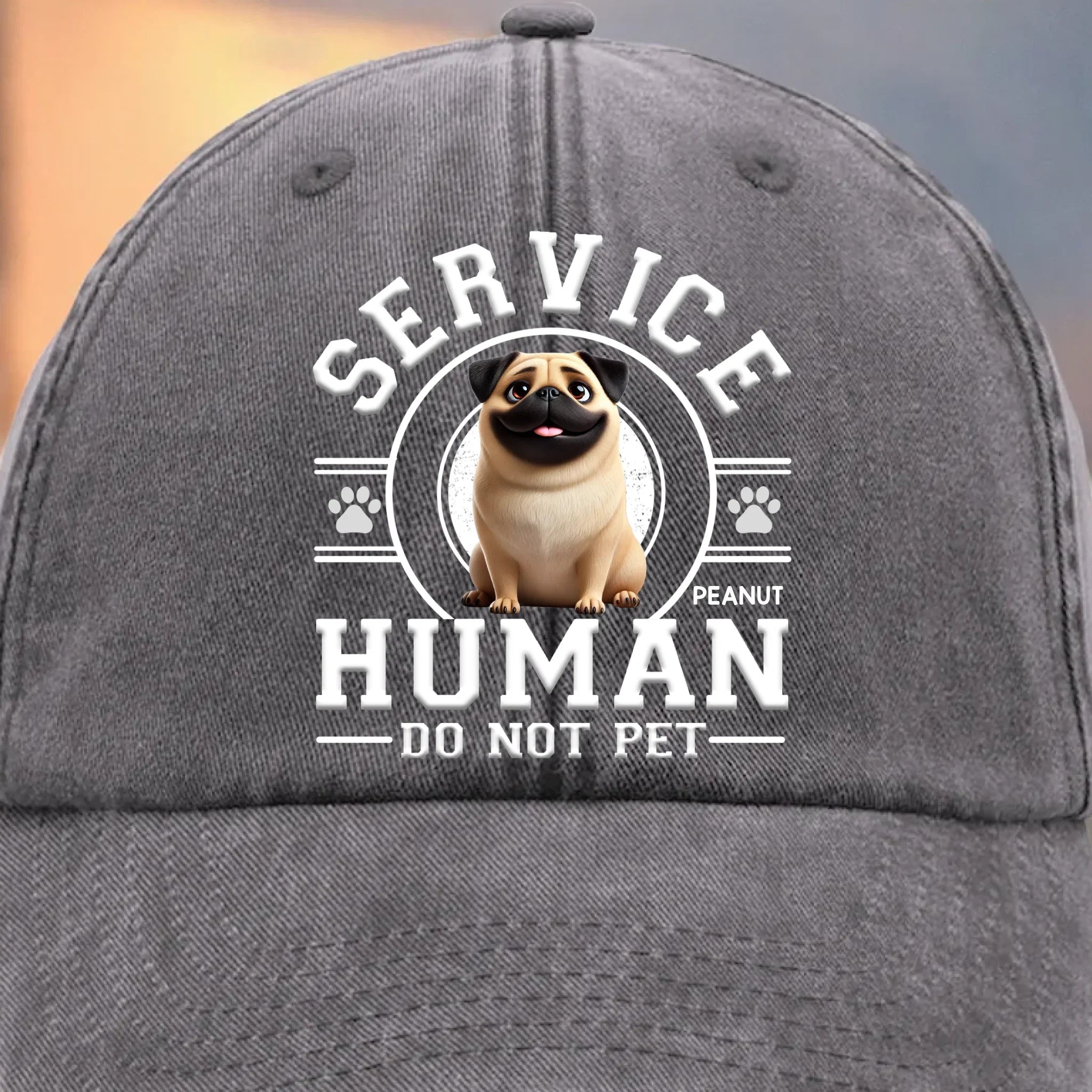 Custom Vintage Washed Denim Baseball Cap - Personalized Birthday Gifts For Dog Cat Lovers, Dog Dad And Mom, Cat Owners - Service Human, Do Not Pet