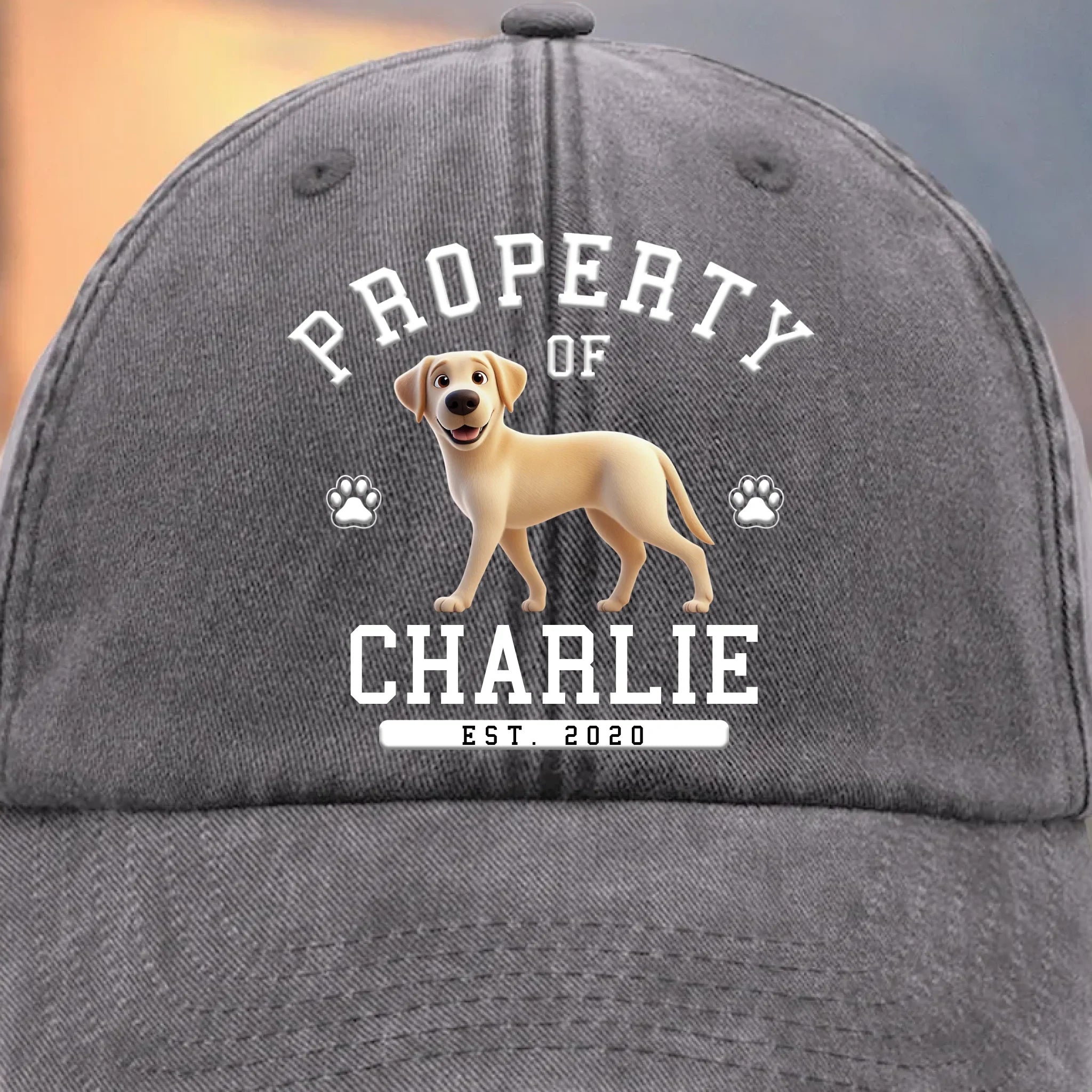 Dog Life Chose Me - Dog Personalized Custom Vintage Washed Denim Baseball Cap - Father's Day, Mother's Day, Gift For Mom, Dad, Pet Owners, Pet Lovers