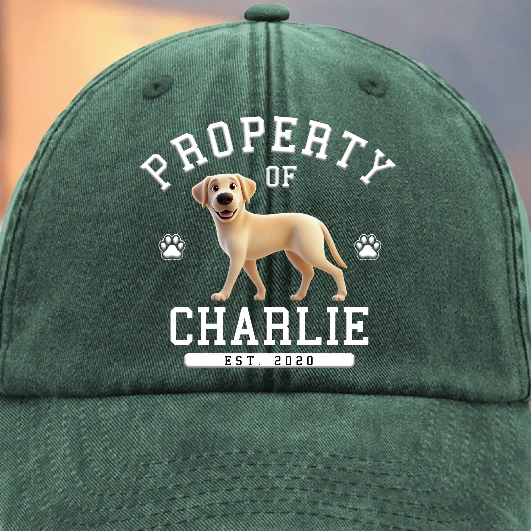 Dog Life Chose Me - Dog Personalized Custom Vintage Washed Denim Baseball Cap - Father's Day, Mother's Day, Gift For Mom, Dad, Pet Owners, Pet Lovers