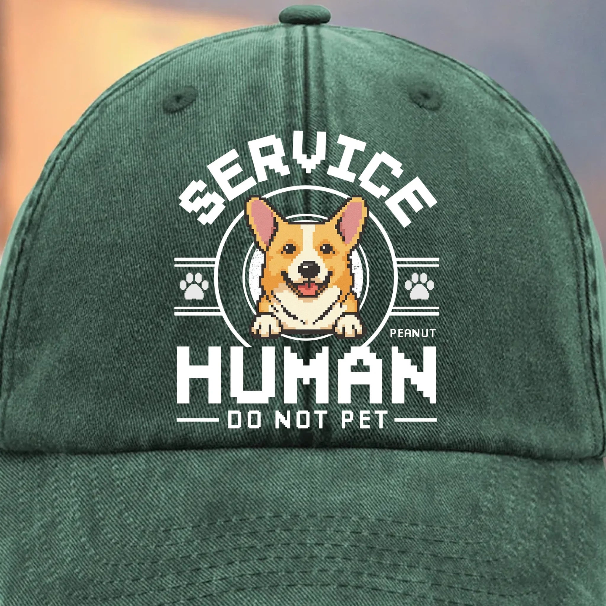Pawfessional Human Handler - Dog Personalized Custom Vintage Washed Denim Baseball Cap - Gift For Pet Owners, Pet Lovers