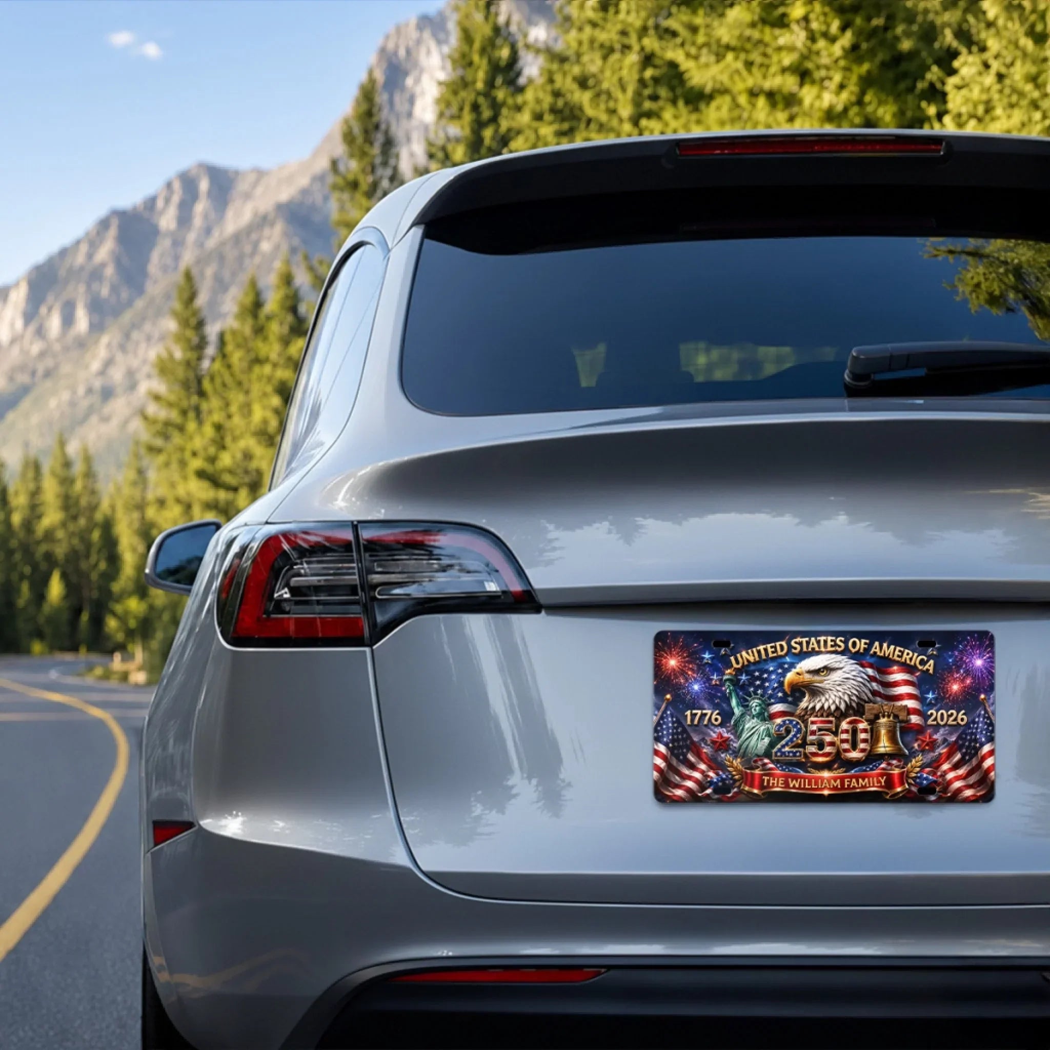 Custom License Plate - Personalized America 250th Anniversary Gifts For Mom, Dad, Brother, Sister, Kids - Together We Shine Bright