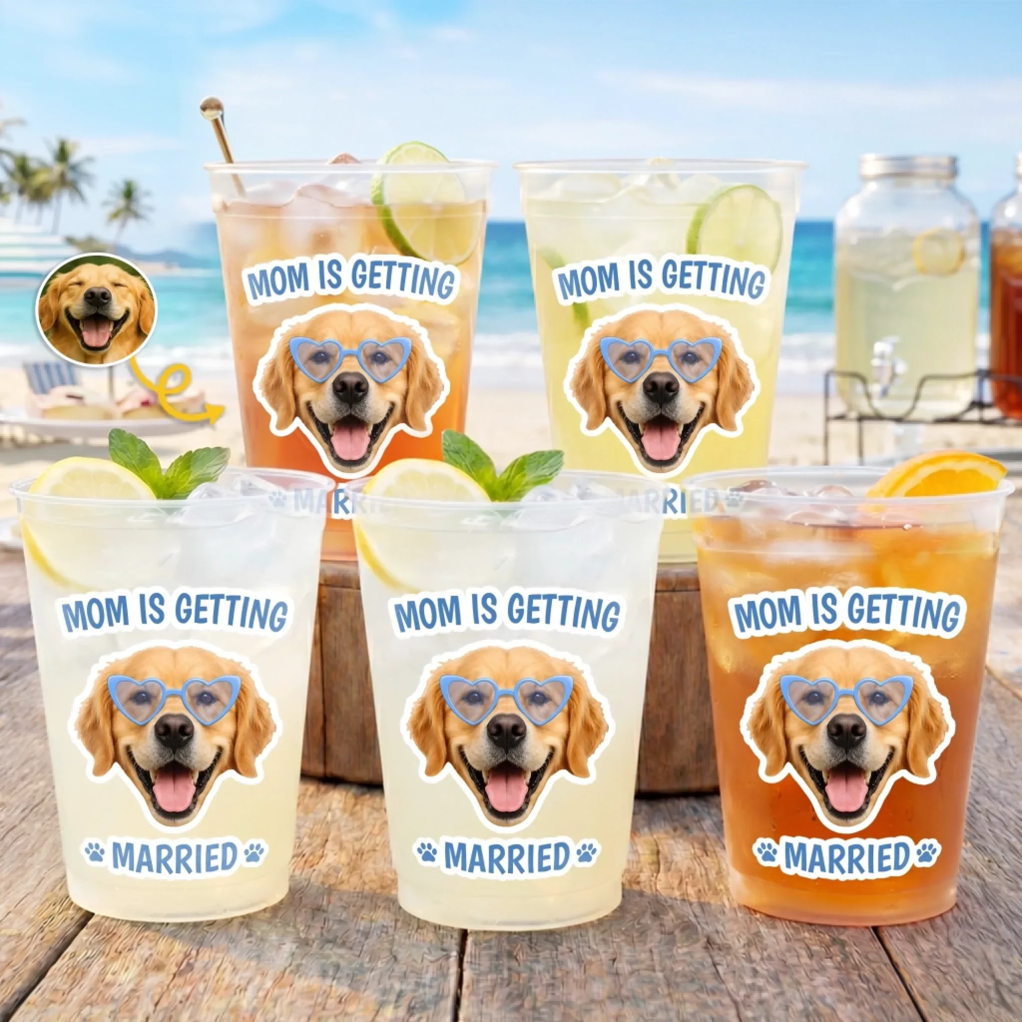 Custom Photo Party Cups - Personalized Summer Vacation And Travel Gifts For Dog Cat Lovers, Dog Dad And Mom, Cat Owners - Best Furry Wingman Ever