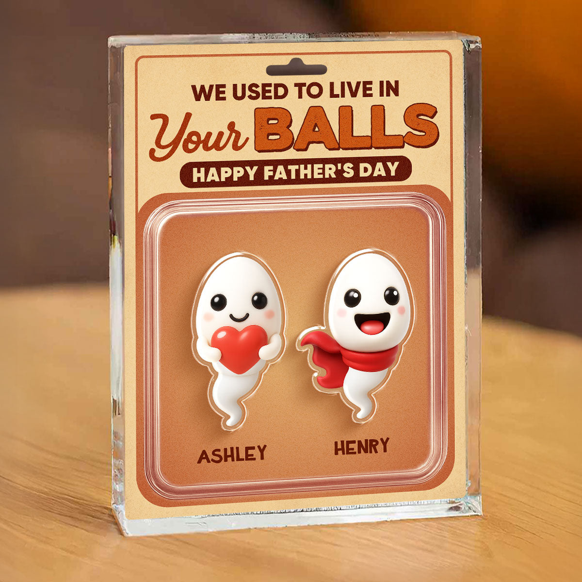 We Used To Live In Your Balls Toy Box Figures Style Personalized Acrylic Block Plaque, Funny gift for Dads