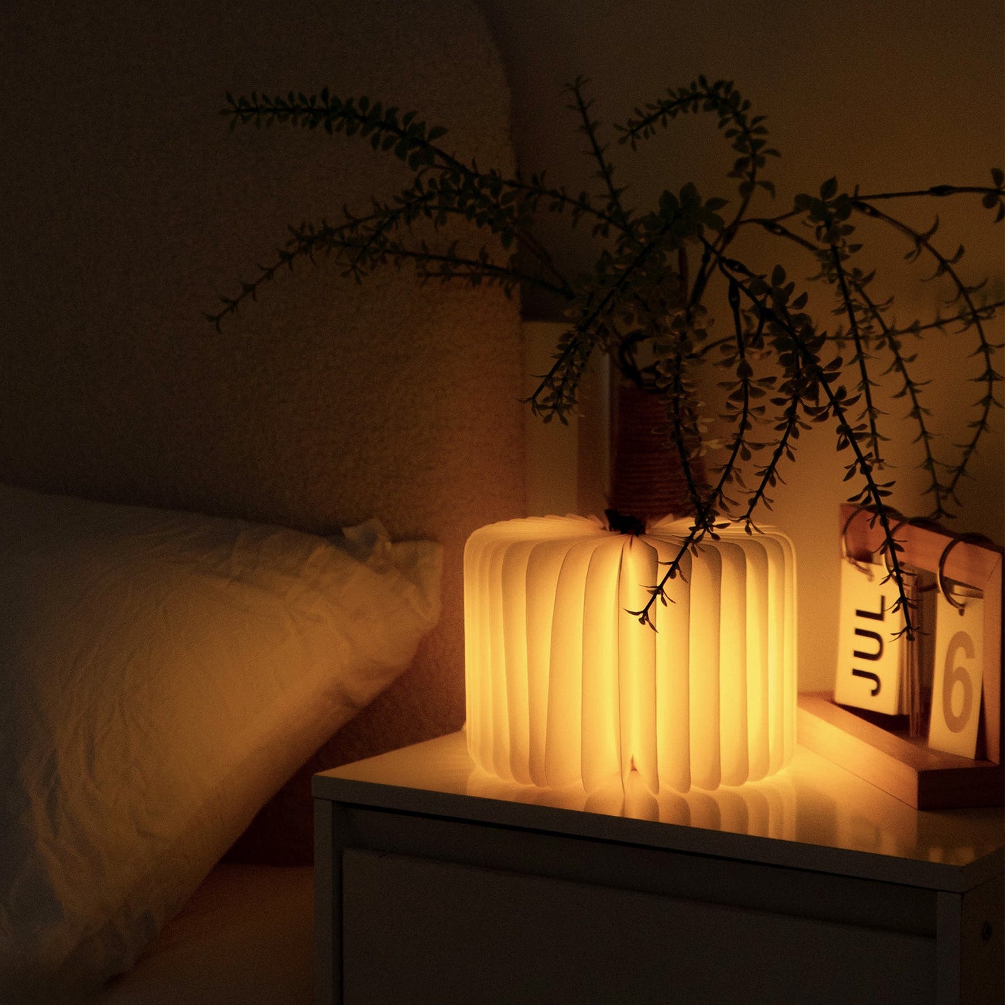 Jane Austen Old Book Cover - Personalized Book Lamp