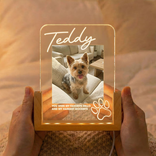 Memorial Pet My Favorite Hello & Hardest Goodbye - Personalized Night Light