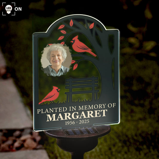 Not A Day Goes By That You Are Not Missed Memory - Personalized Photo Solar Light