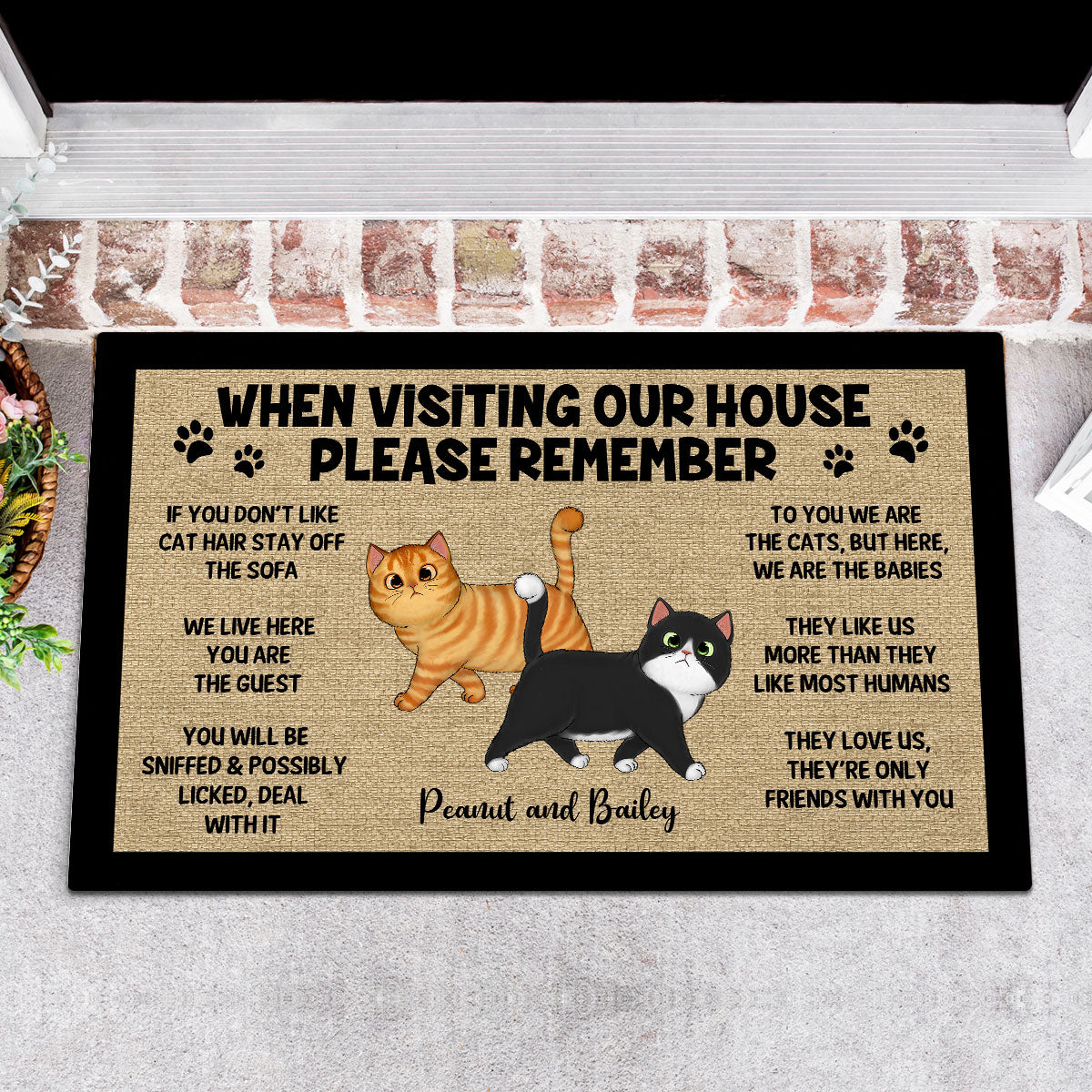 Please Remember When Visiting Cats House Home Decor Gift For Cat Lover Personalized Doormat