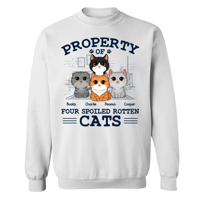 Property Of Spoiled Rotten Cats Personalized Shirt