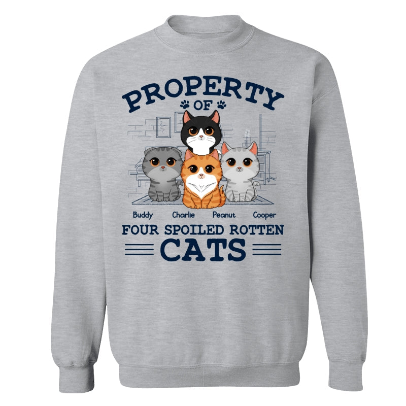 Property Of Spoiled Rotten Cats Personalized Shirt