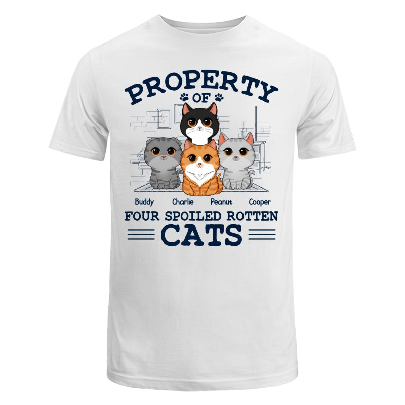 Property Of Spoiled Rotten Cats Personalized Shirt