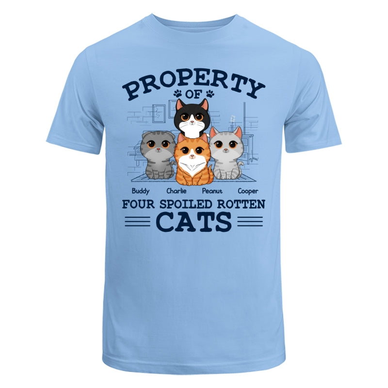 Property Of Spoiled Rotten Cats Personalized Shirt