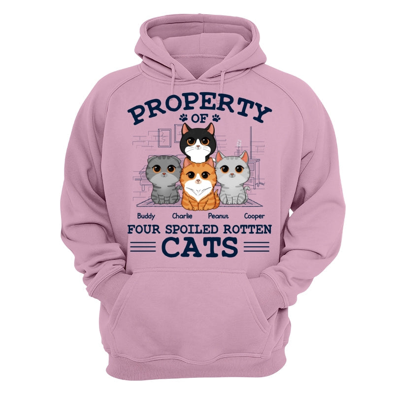 Property Of Spoiled Rotten Cats Personalized Shirt