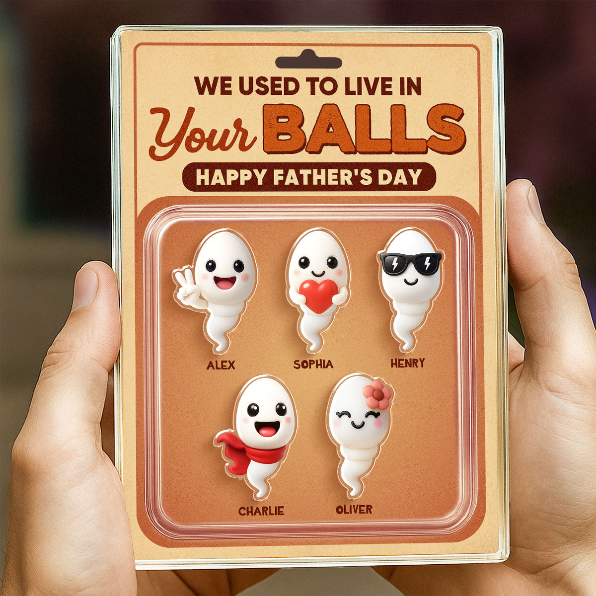 We Used To Live In Your Balls Toy Box Figures Style Personalized Acrylic Block Plaque, Funny gift for Dads