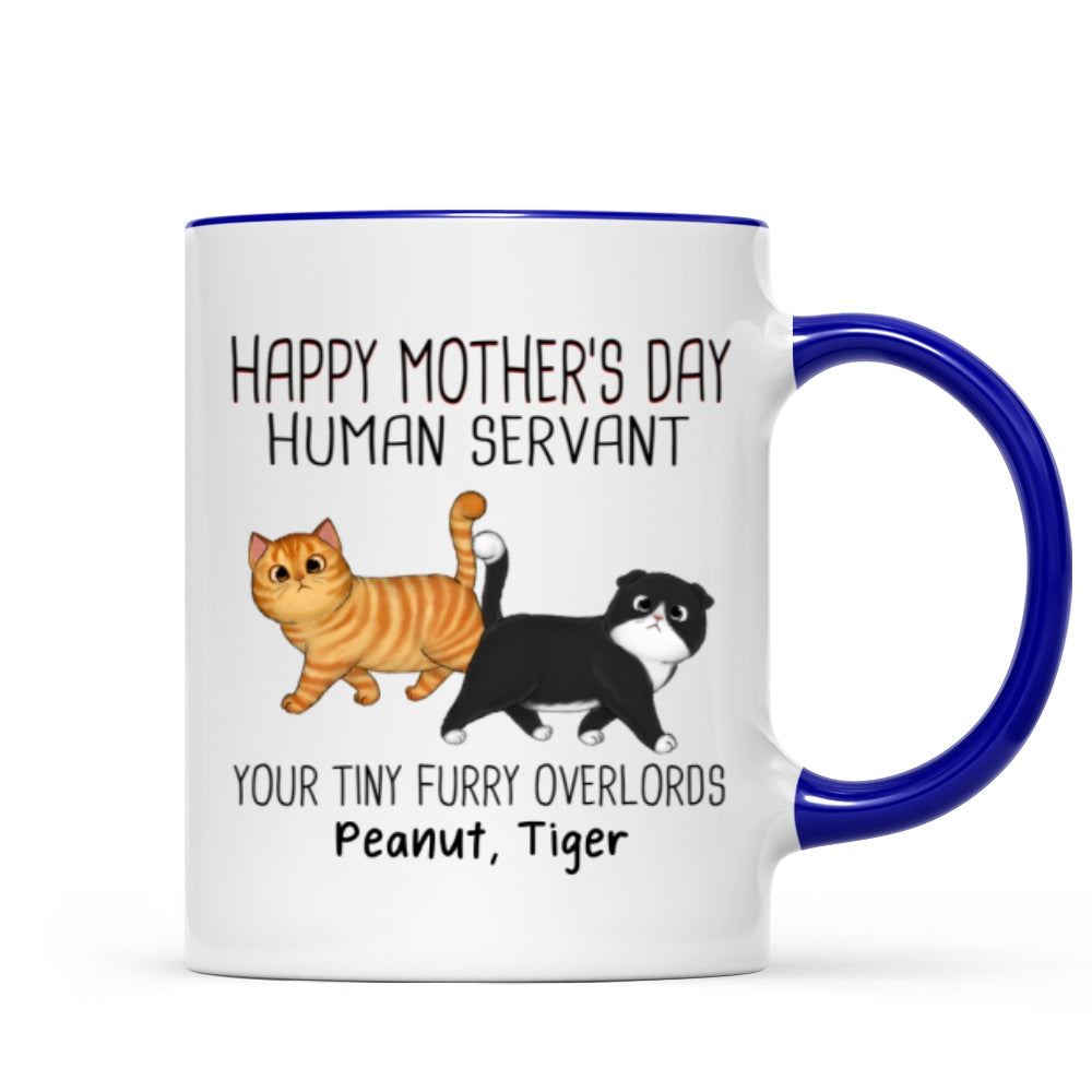 Walking Fluffy Cats Happy Mother‘s Day Cat Human Servant Personalized Mug