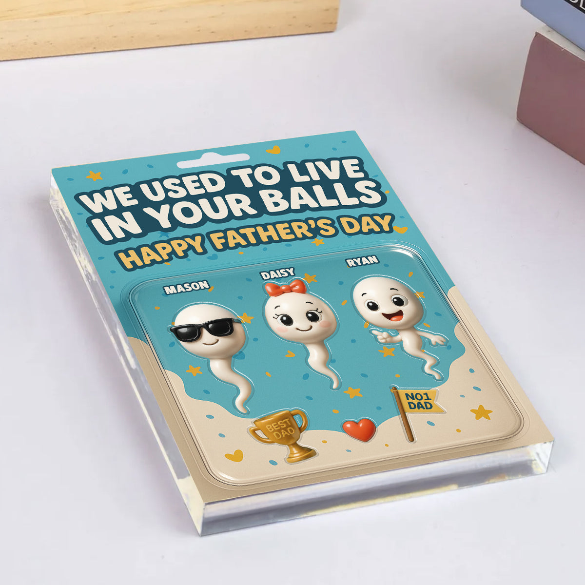 We Used To Live In Your Balls Dad Customer Figure Personalized Acrylic Block Plaque, Gift for Dad, Gift for Husband