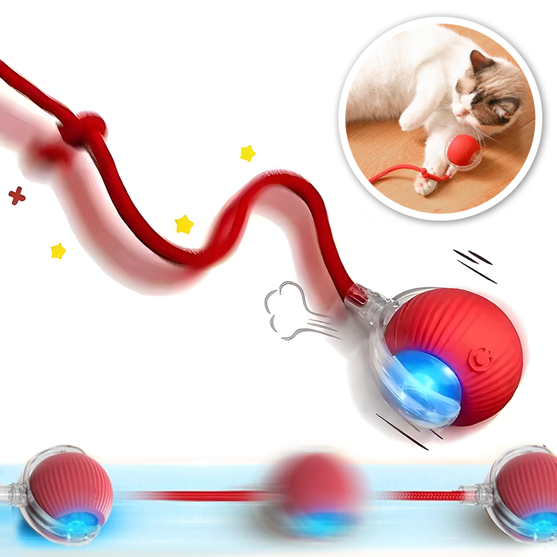 Interactive Ball Toy