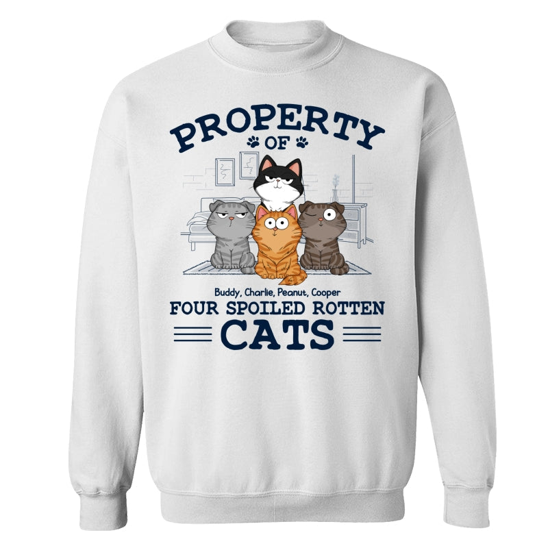 Property Of Spoiled Rotten Cats Funny Cats Expressions Personalized Shirt