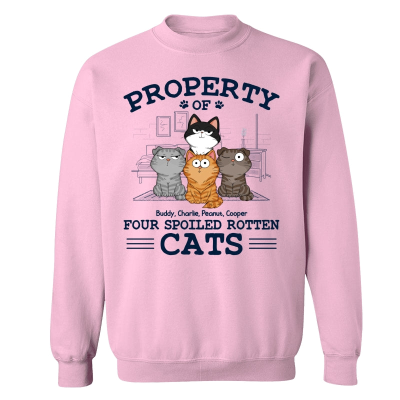 Property Of Spoiled Rotten Cats Funny Cats Expressions Personalized Shirt