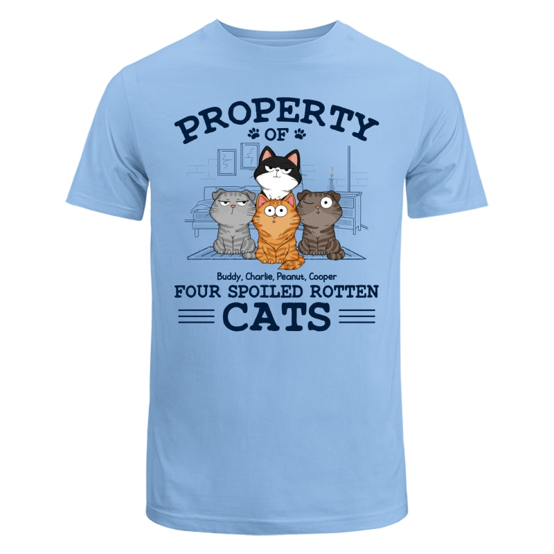 Property Of Spoiled Rotten Cats Funny Cats Expressions Personalized Shirt