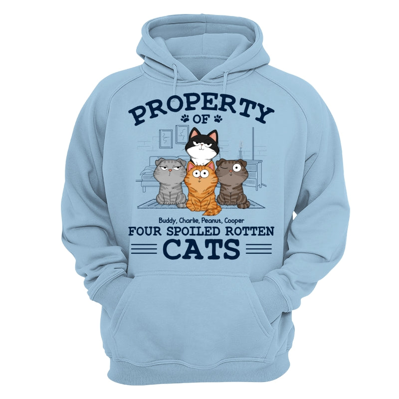 Property Of Spoiled Rotten Cats Funny Cats Expressions Personalized Shirt