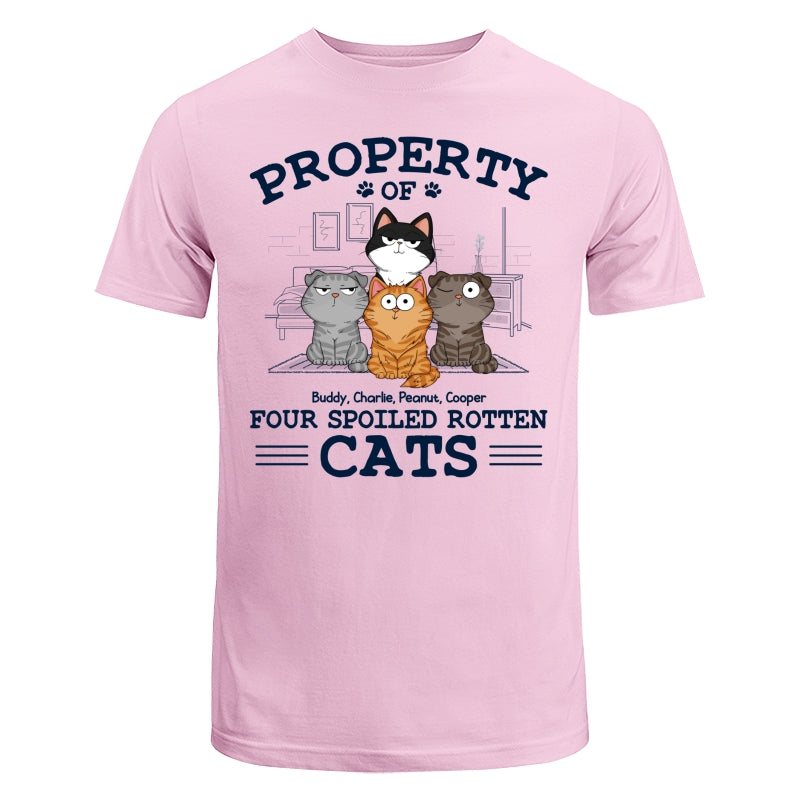 Property Of Spoiled Rotten Cats Funny Cats Expressions Personalized Shirt