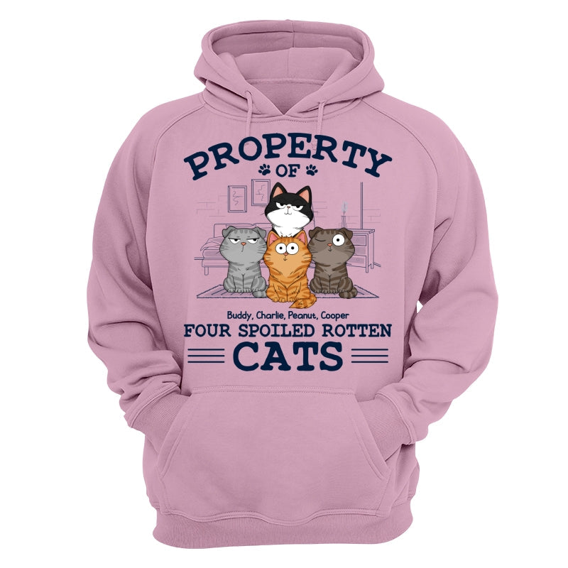 Property Of Spoiled Rotten Cats Funny Cats Expressions Personalized Shirt