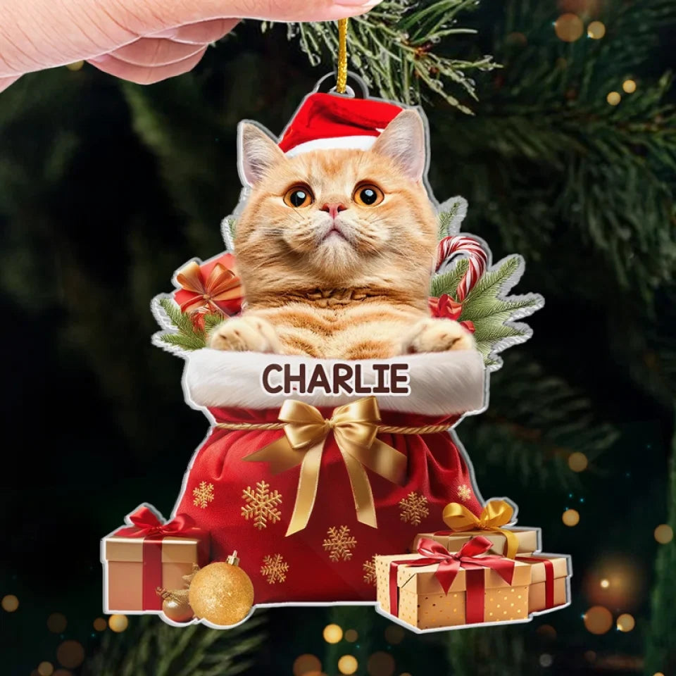 Custom Photo My Pet's Love Is The Best Present This Christmas - Dog & Cat Personalized Custom Ornament - Acrylic Custom Shaped - Christmas Gift For Pet Owners, Pet Lovers