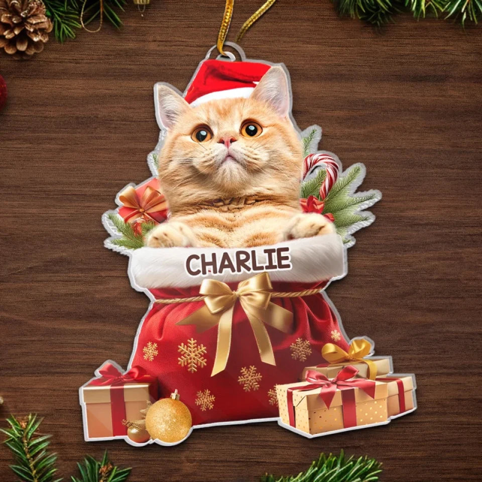 Custom Photo My Pet's Love Is The Best Present This Christmas - Dog & Cat Personalized Custom Ornament - Acrylic Custom Shaped - Christmas Gift For Pet Owners, Pet Lovers