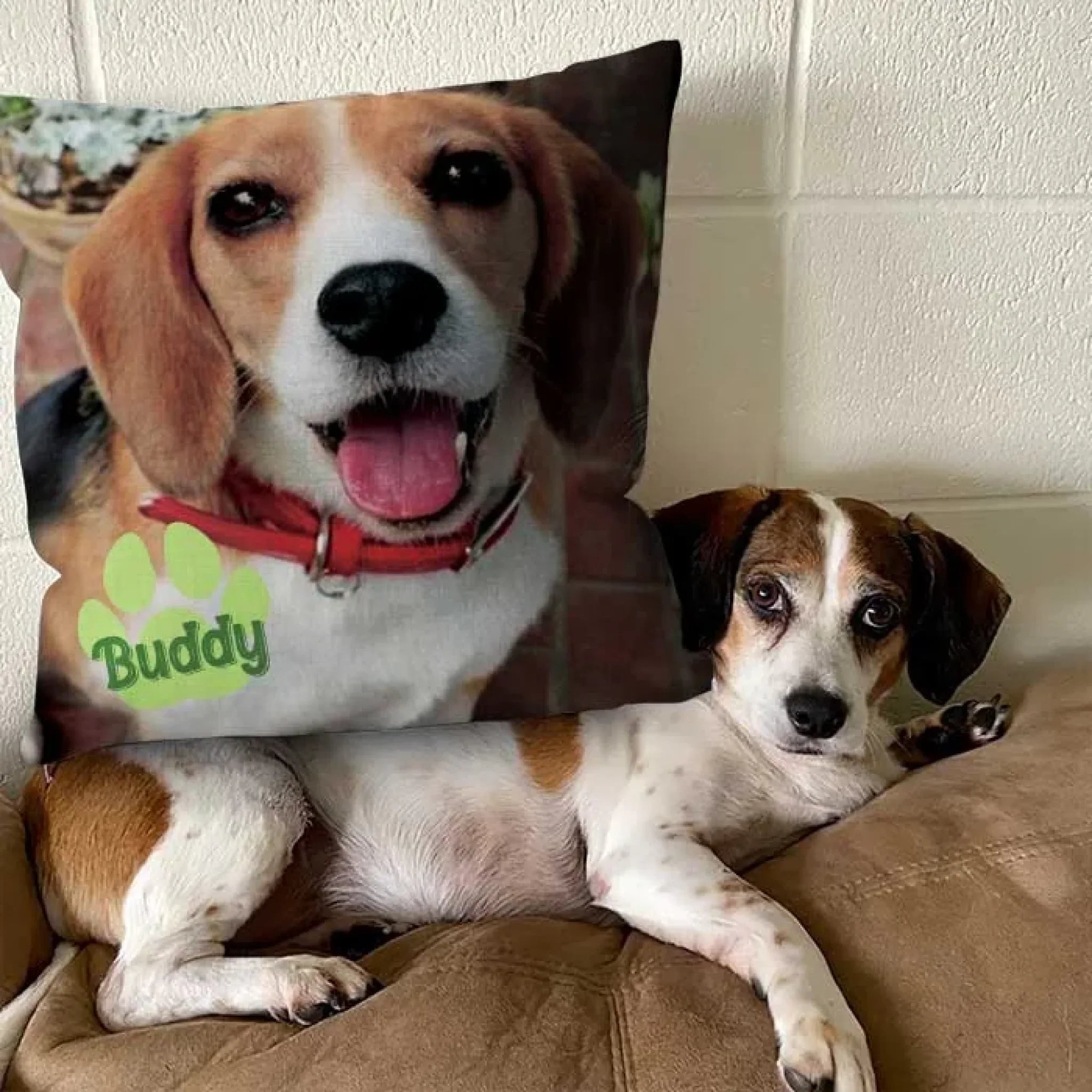 Custom Photo All You Need Is Love And A Pet - Dog & Cat Personalized Custom Pillow - Gift For Pet Owners, Pet Lovers