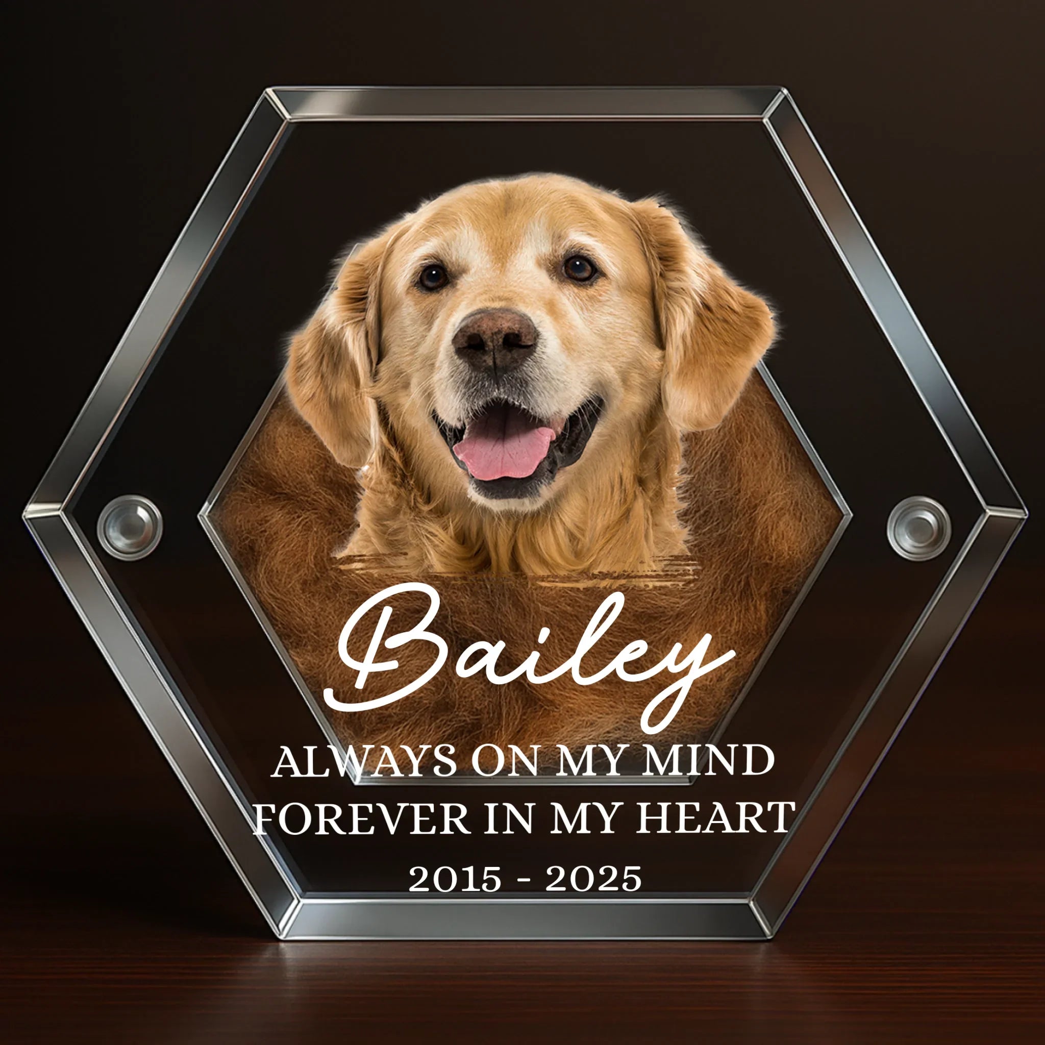 Custom Photo Pet Fur Keepsake - Personalized Pet Memorial Gifts For Dogs - Always In My Heart