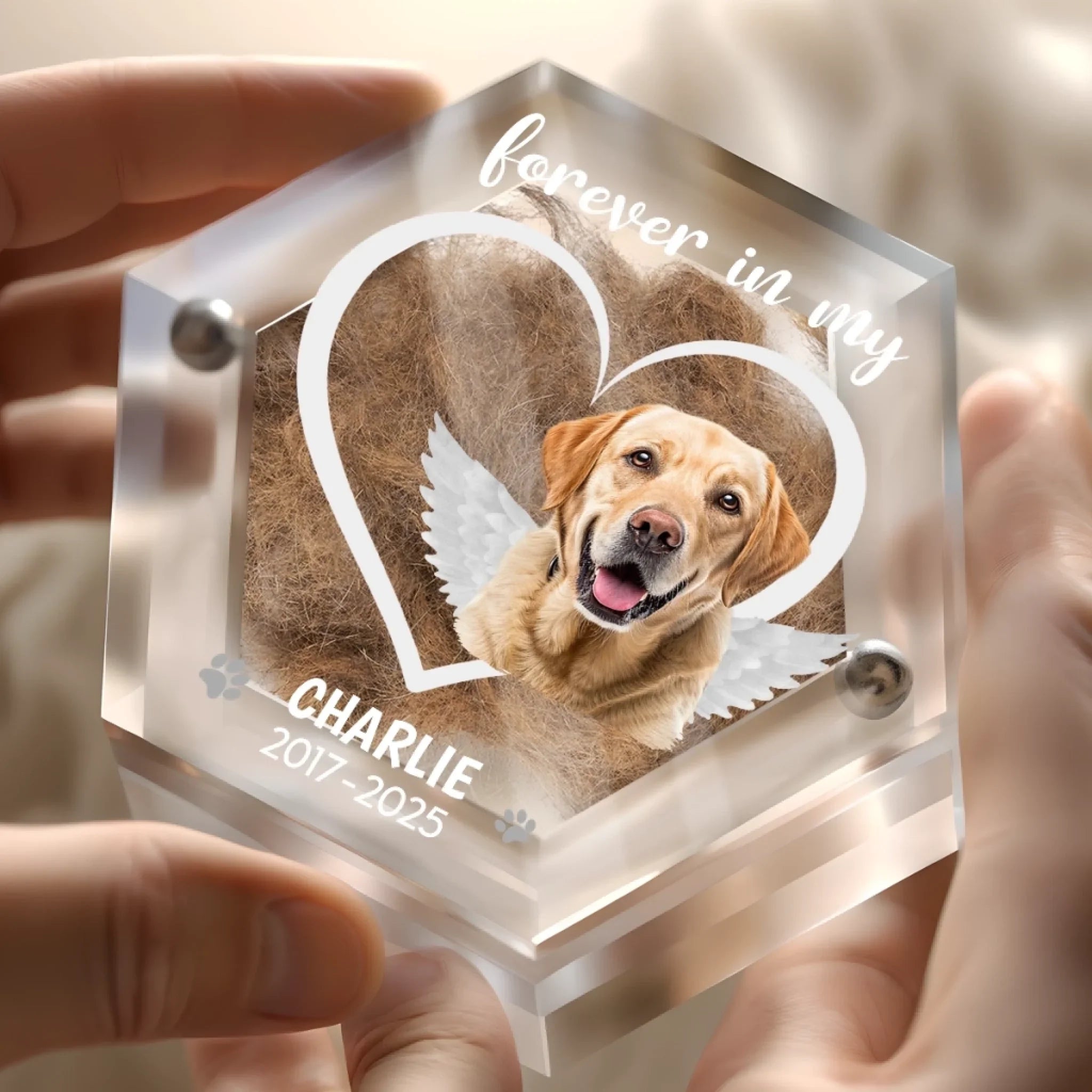 Custom Photo Acrylic Pet Fur Keepsake Box - Personalized Pet Memorial Sympathy Gifts For Dogs, Cats - Forever Loved, Forever Missed