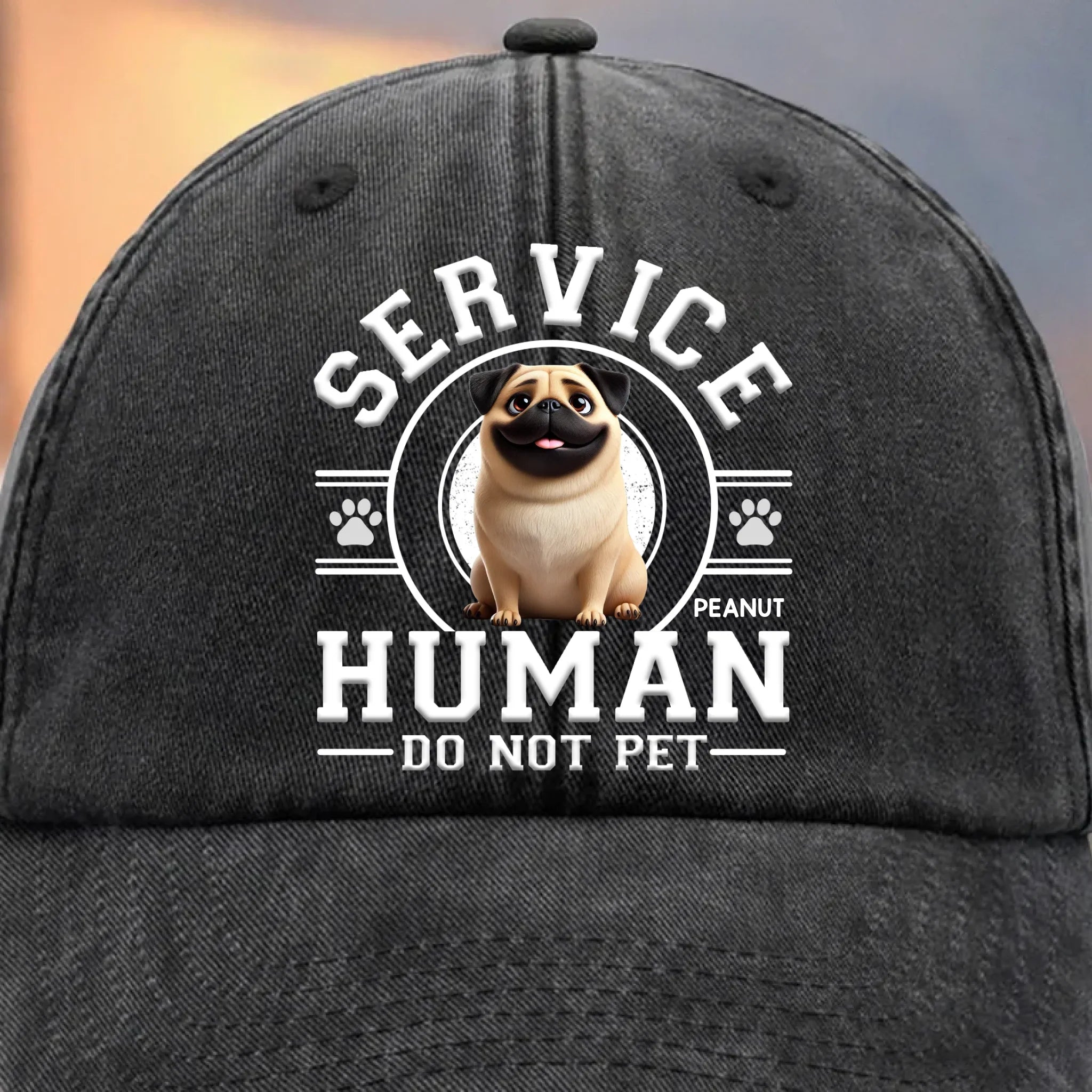 Custom Vintage Washed Denim Baseball Cap - Personalized Birthday Gifts For Dog Cat Lovers, Dog Dad And Mom, Cat Owners - Service Human, Do Not Pet