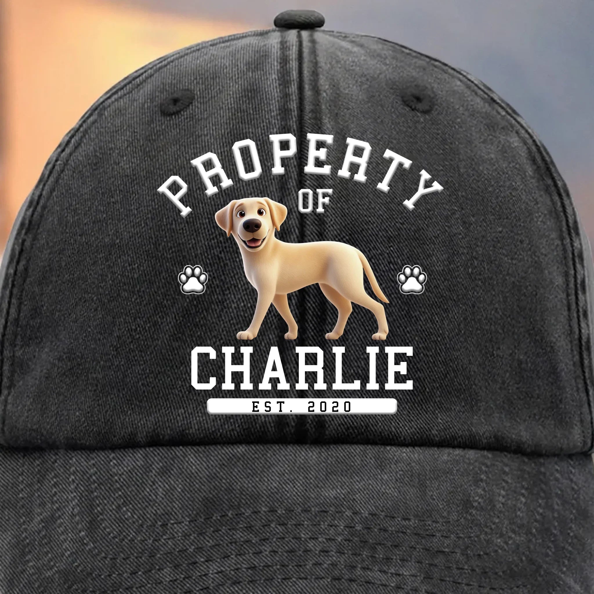 Dog Life Chose Me - Dog Personalized Custom Vintage Washed Denim Baseball Cap - Father's Day, Mother's Day, Gift For Mom, Dad, Pet Owners, Pet Lovers