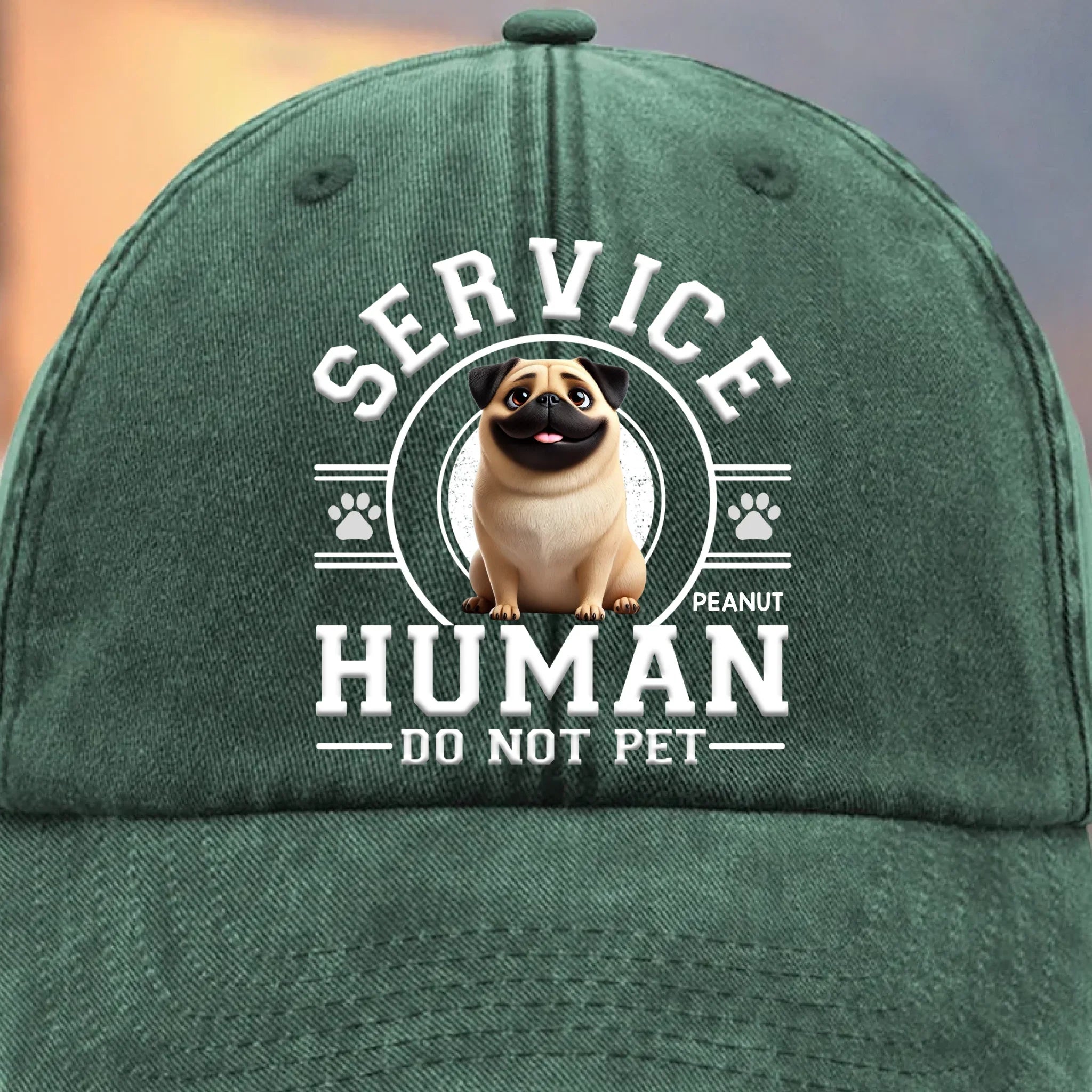 Custom Vintage Washed Denim Baseball Cap - Personalized Birthday Gifts For Dog Cat Lovers, Dog Dad And Mom, Cat Owners - Service Human, Do Not Pet