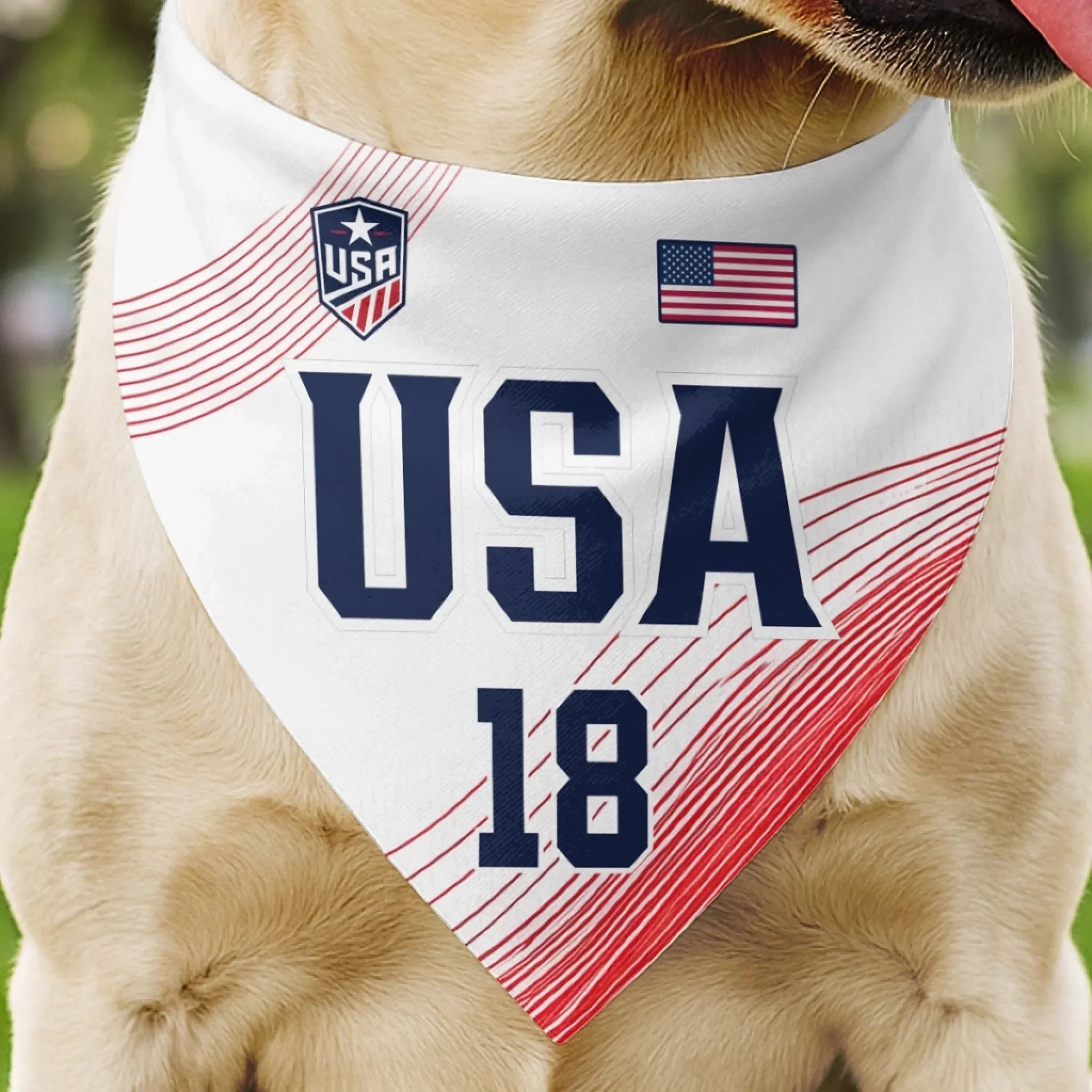 Custom USA World Football Pet Bandana - Personalized Birthday Gifts For Football Dog Cat Lovers, Dog Dad And Mom, Cat Owners - The Real MVP Has Four Paws