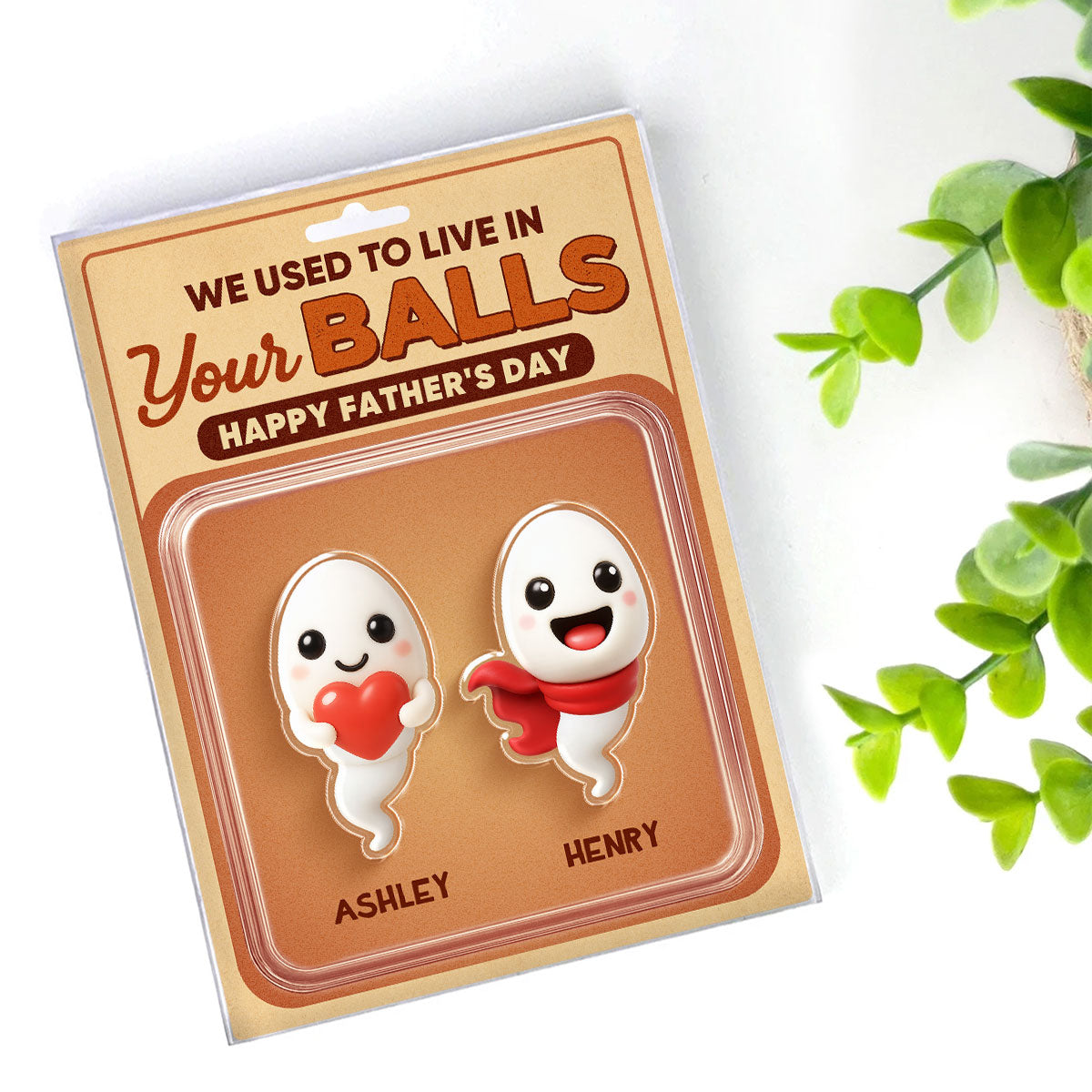 We Used To Live In Your Balls Toy Box Figures Style Personalized Acrylic Block Plaque, Funny  gift for Dads